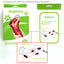 Portable Pet Treat Launcher – Fun, Training & Reward in One!