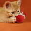 Interactive Cat Toy Ball Super Drive Cat Rolling Ball