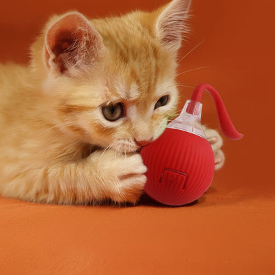 Interactive Cat Toy Ball Super Drive Cat Rolling Ball